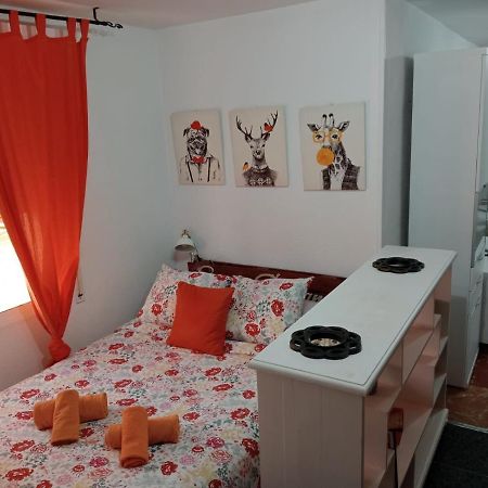 Appartamento Apartamento Con Encanto 'Larios Studio' Málaga Esterno foto